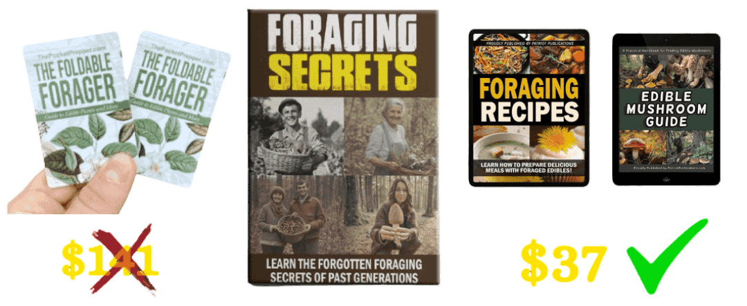 Foraging Secrets Official