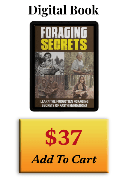 Foraging Secrets Official Price