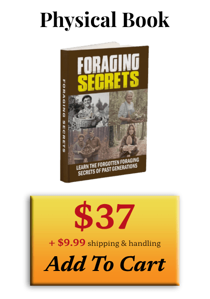 Foraging Secrets Official Price