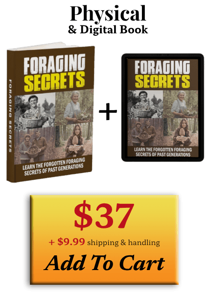 Foraging Secrets Official Price