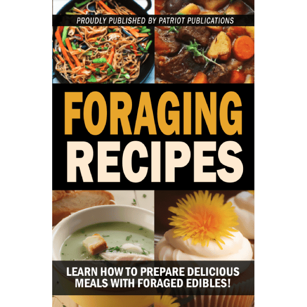 Foraging Secrets Official Bonus