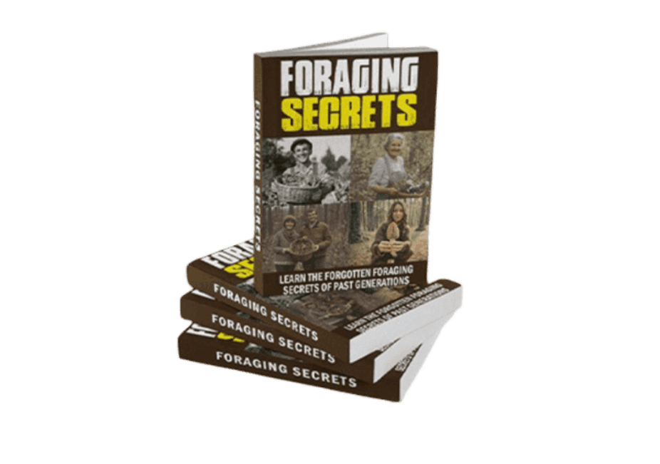 Foraging Secrets Official